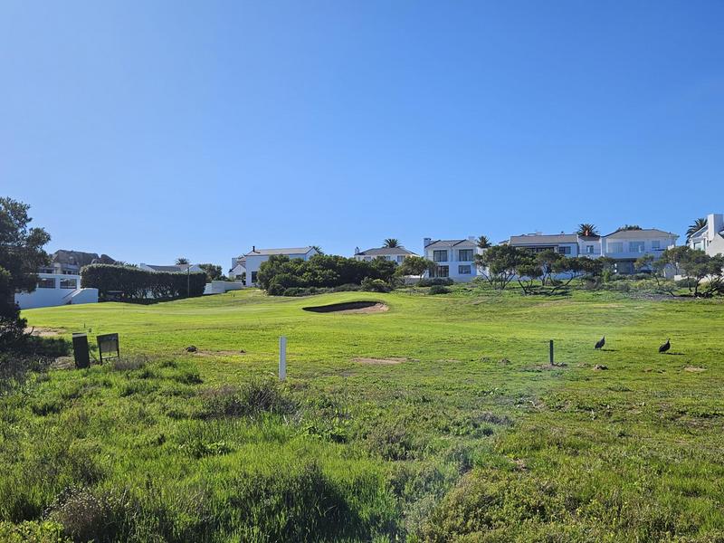 0 Bedroom Property for Sale in Shelley Point Western Cape